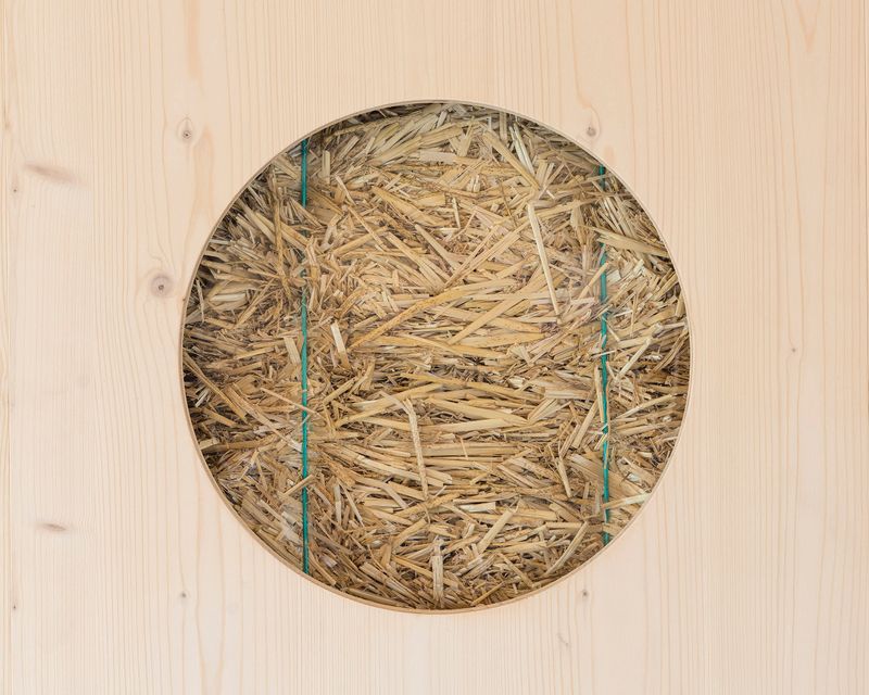 Infrastructures sportives de Daillens – © Matthieu Gafsou / LOCALARCHITECTURE