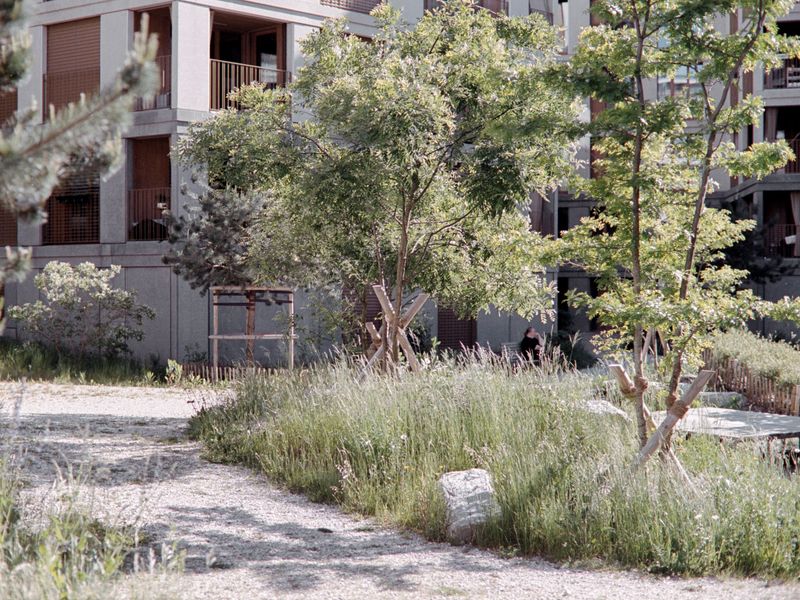 Étape 1 de l'écoquartier des Plaines-du-Loup – Cœur d'îlot végétalisé – Ville de Lausanne