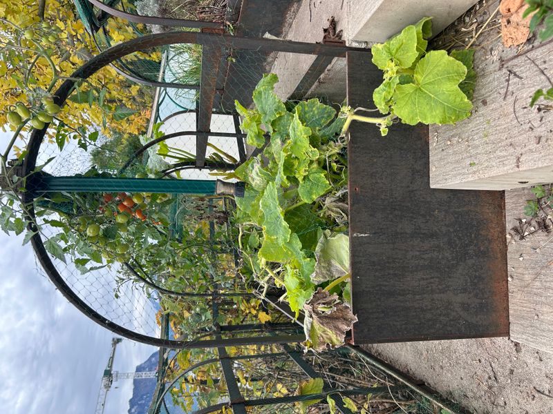 Die hängenden Gärten der Semiramis von Babylon – 7. Bewässerung Endverschluss – A. Pfister