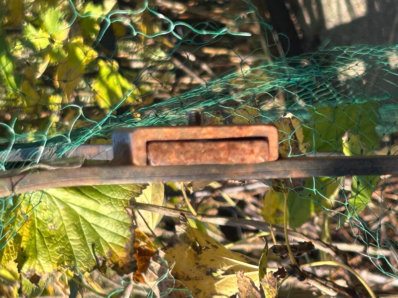 Die hängenden Gärten der Semiramis von Babylon – 3. Lasche Bögen – A. Pfister