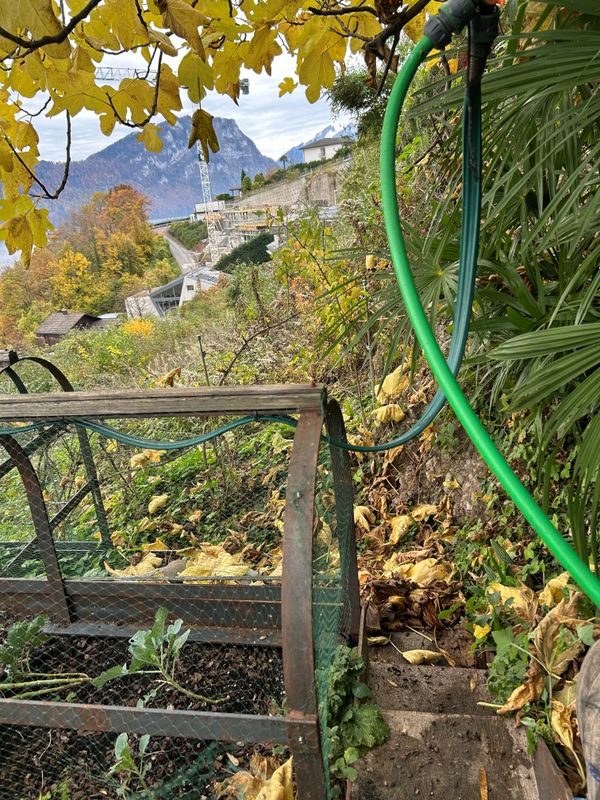 Die hängenden Gärten der Semiramis von Babylon – 6. Bewässerung ab Regenwasserfalle klein.jpg – A. Pfister