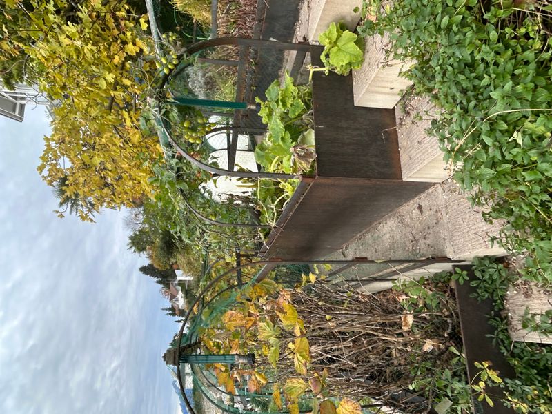 Die hängenden Gärten der Semiramis von Babylon – 2. Erschliessung Hochbeete – A. Pfister