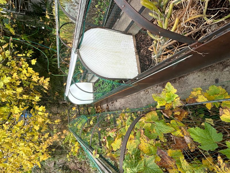 Die hängenden Gärten der Semiramis von Babylon – 4. Netz Aussaat – A. Pfister