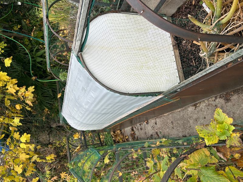 Die hängenden Gärten der Semiramis von Babylon – 5. Frostschutz – A. Pfister