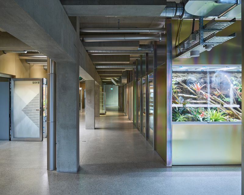 Erweiterungsneubauten Kantonsschule Limmattal, Urdorf – Klassentrakt: Zentraler Bereich ausgebaut als offene Sammlung der Biologie – Igor Ponti