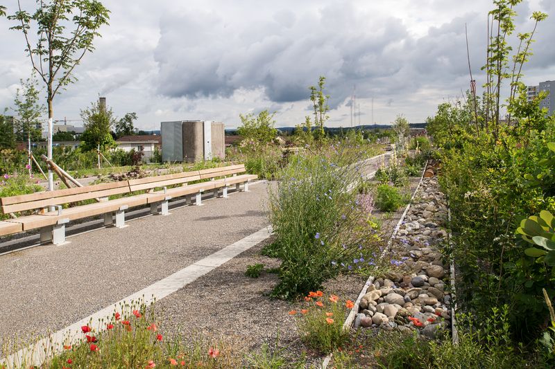A1 Einhausung Schwamendingen mit Ueberlandpark und Sanierung Schöneichtunnel – Juliet Haller, Amt für Städtebau Zürich