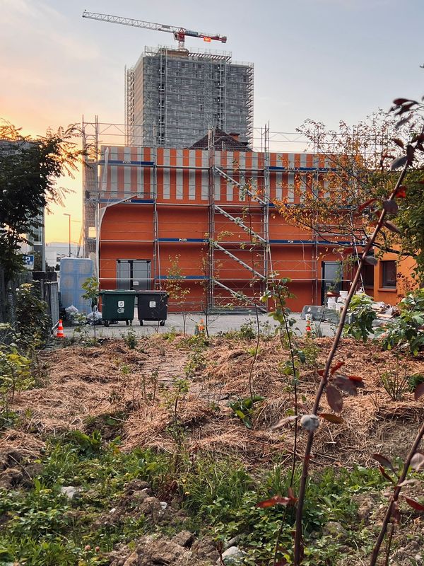 La Manufacture, studio de danse et théâtre – Frise et jardin – Eik Frenzel