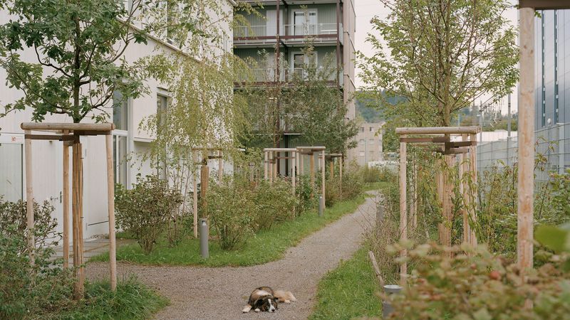 Hobelwerk, Haus D – Peter Tillessen