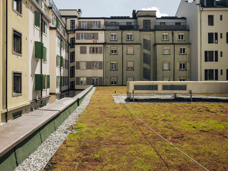 URBANRIDE – Toiture végétale – Nicolas Schopfer