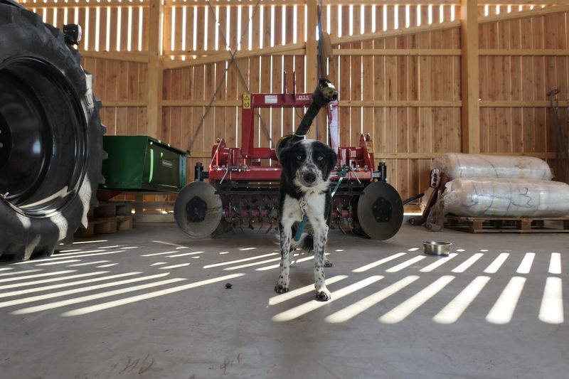 Ferme agro-urbaine de Bernex – Verzone Woods Architectes & Joseph Jeanmart