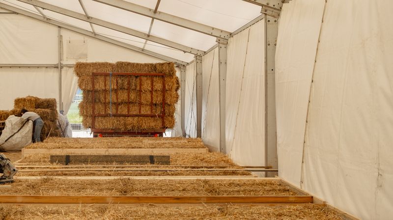 Ferme agro-urbaine de Bernex – Verzone Woods Architectes & Joseph Jeanmart