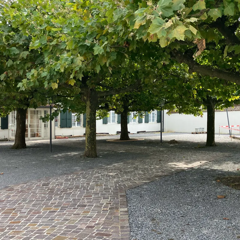 Arealgestaltung Mariastein – Ein Klosterplatz als Gastgeber – Der Platanenhof bildet den Vorraum zur Klosterpforte; die Achse aus sechs Platanen wird durch zwei weitere sowie eine freie und diagonale Durchwegung aufgebrochen  – Atelier Ehrenklau Hemmerling GmbH