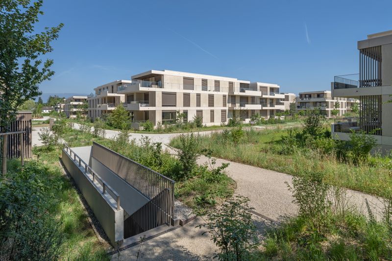 Le Parc des Crêts – Le Parc des Crêts - Emergence du parking souterrain dans le parc – Cerutti architectes SA