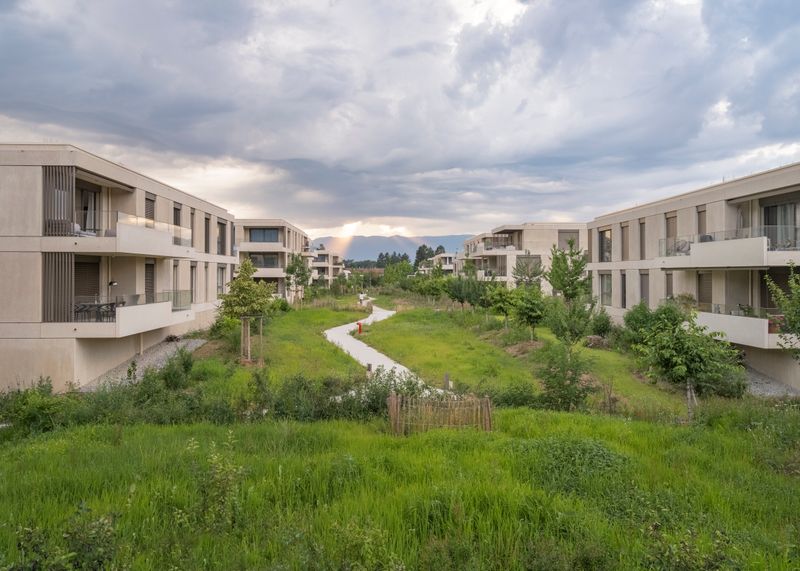 Le Parc des Crêts –  Le Parc des Crêts - Promenade transversale dans le verger – Cerutti architectes SA