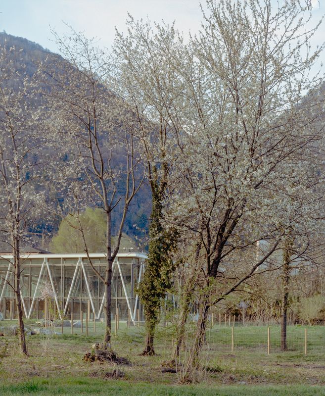 NEL BOSCO / IM WALD – Nel bosco / Im Wald – Federico Farinatti