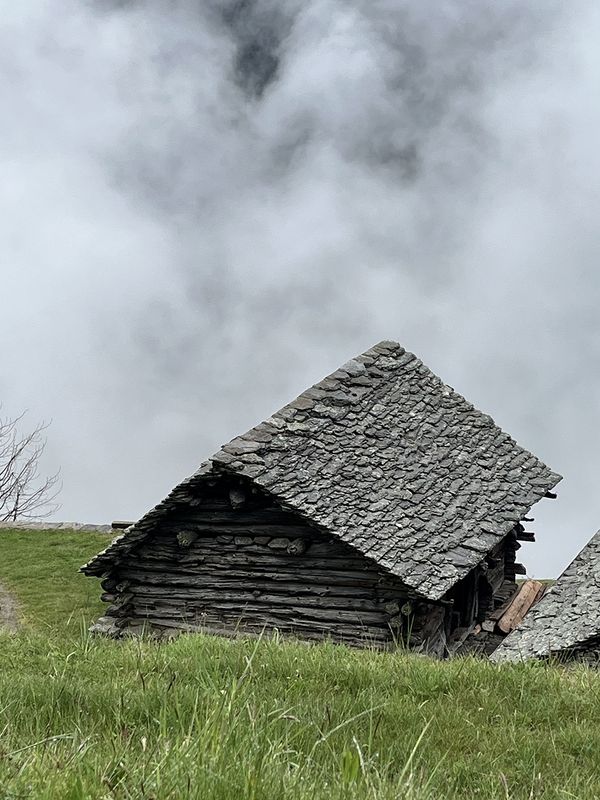 BL.11.6 – Brambilla Orsoni