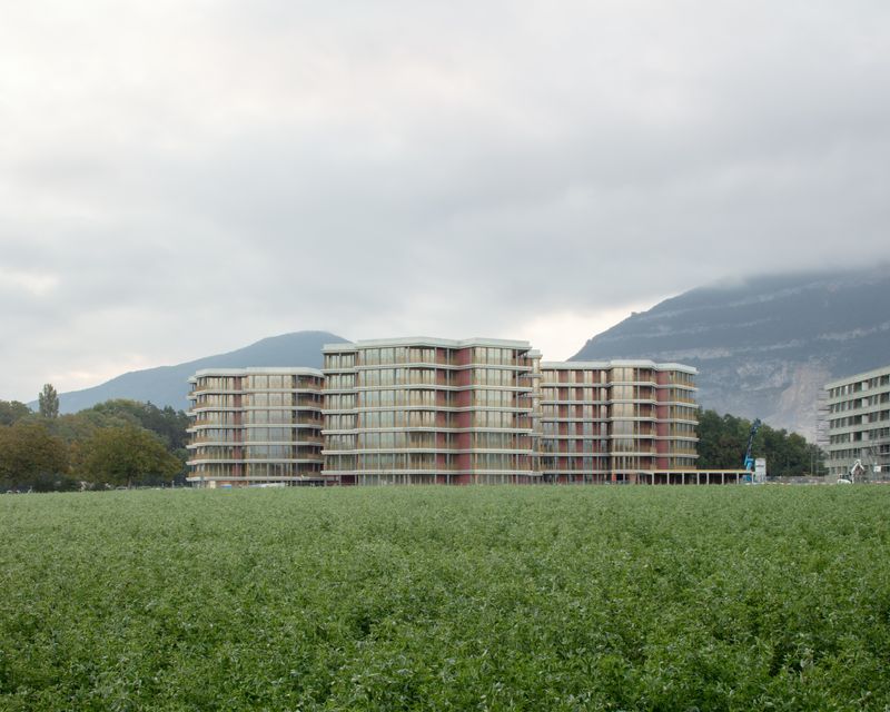 Les Messicoles – Paola Corsini