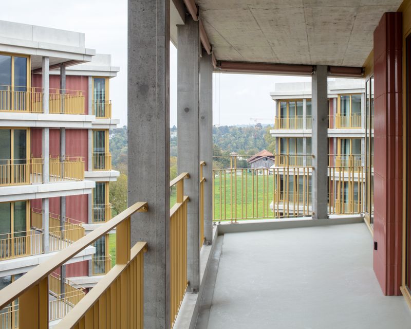 Les Messicoles – Paola Corsini