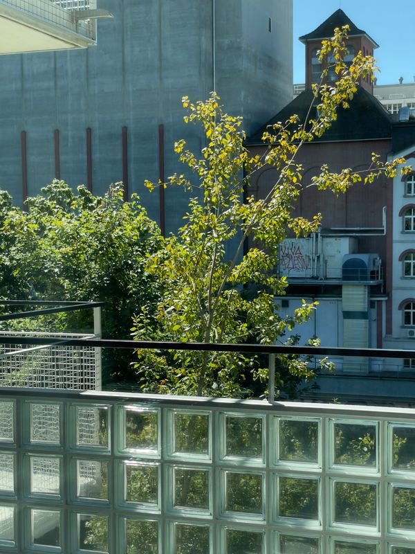 Mehrfamilienhäuser an der Limmat – Mehrfamilienhaus an der Limmat II, Hönggerstrasse 5 – Schaub Zwicky Architekt:innen