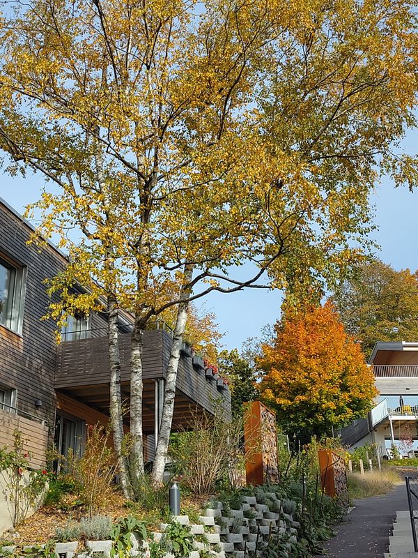 PPE de l'Orangerie – Atelier d'architecture Lutz Associés Sàrl