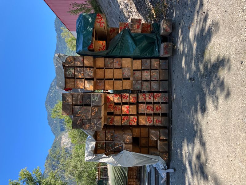 Kindergarten Untervaz – Schnittholz im Sommer 2023 – ARGE Weitschies Krähenbühl