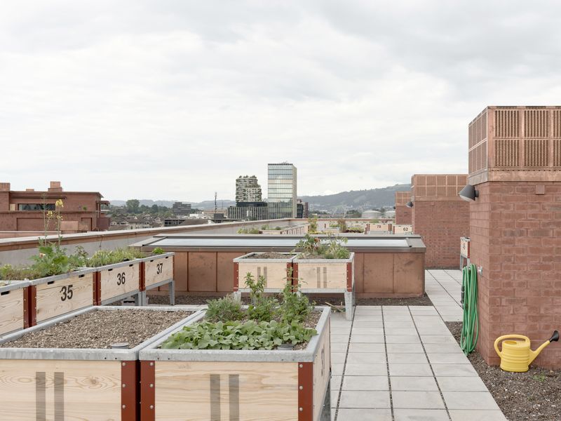 Chäsimatt – Der Dachgarten mit den Hochbeeten steht allen Mietern zur Verfügung die gerne etwas anpflanzen möchten. Dies ist nur einer der vielen gemeinschaftlichen Nutzungen die dazu dienen ein starkes soziales Gefüge zu schaffen. – © 2018 by Ariel Huber / EDIT images